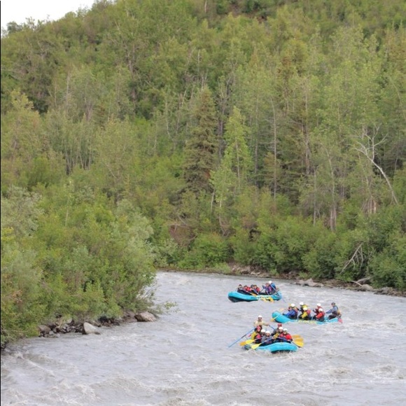 Meet your Posher, Janie - Picture 1 of 1